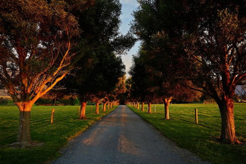 The Artists Retreat - Accommodation New Zealand 7