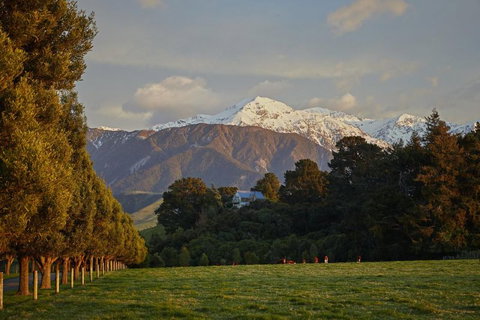 The Artists Retreat - Accommodation New Zealand 8
