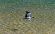 Aquapackers - thumb 6