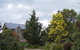 The Artists Retreat - thumb 5