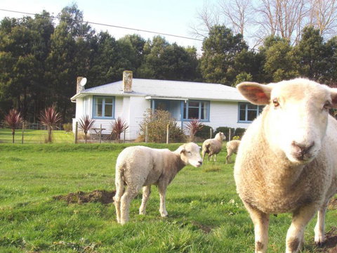 Waiwiri Shepherds Cottage - Accommodation New Zealand 2