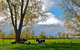 Rural Tours Ltd - thumb 0
