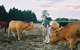 Rural Tours Ltd - thumb 2