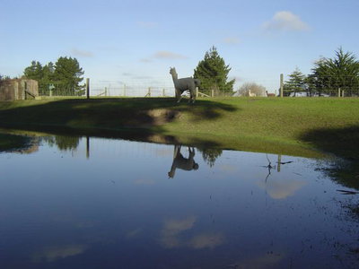 Warwickz Farm