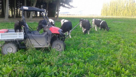 Ludlow Farmstay And B&B  - Accommodation New Zealand 5
