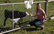 Karetu Downs Farm Stay  - thumb 6