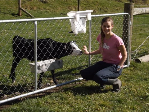 Karetu Downs Farm Stay  - Accommodation New Zealand 6