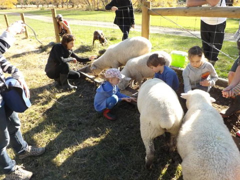 Karetu Downs Farm Stay  - Accommodation New Zealand 7