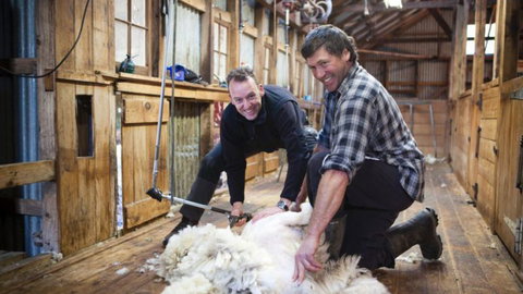 Karetu Downs Farm Stay  - Accommodation New Zealand 8