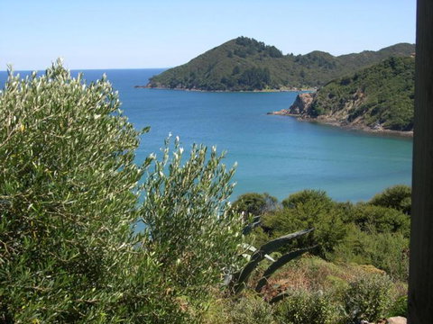 Bay Lodge Cottage - Accommodation New Zealand 3