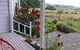 Rose Cottage - thumb 2