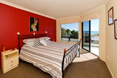 The Glass House - Accommodation New Zealand 5