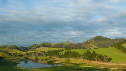 Tahi New Zealand - Accommodation New Zealand 1