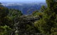 The Lookout Peel Forest - thumb 0