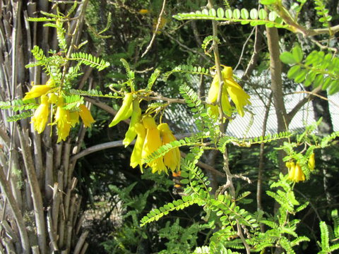 Craicor Accommodation - Accommodation New Zealand 4