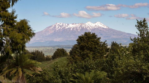 Wildside Getaway - Accommodation New Zealand 0