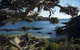 Doubtless Bay Villas - thumb 8