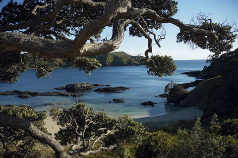 Doubtless Bay Villas - Accommodation New Zealand 8