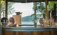 Te Anau Top 10 Holiday Park - thumb 0