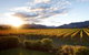 Vintners Retreat  - thumb 3