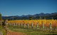 Vintners Retreat  - thumb 14
