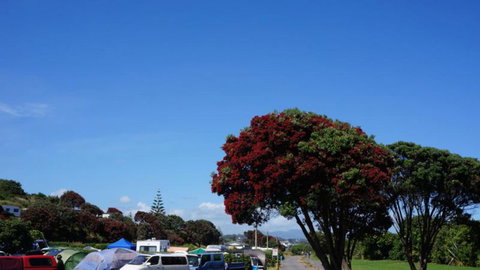 Fitzroy Beach Holiday Park  - Accommodation New Zealand 4