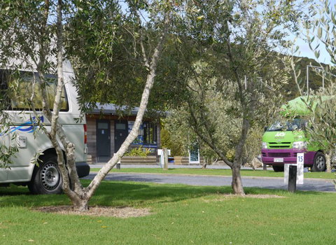 Bay Of Islands Campervan Park - Accommodation New Zealand 2
