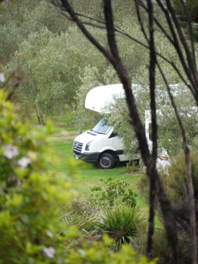 Bay Of Islands Campervan Park - Accommodation New Zealand 5