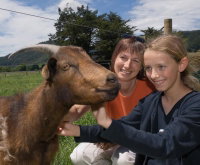 Smiths Farm Holiday Park