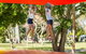 Motueka TOP 10 Holiday Park - thumb 11