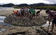 Whangateau Holiday Park - thumb 3