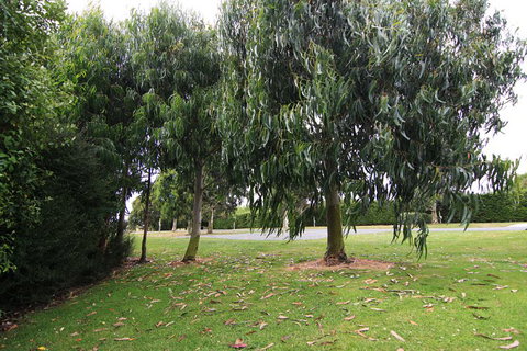 Westport Kiwi Holiday Park & Motels - Accommodation New Zealand 2