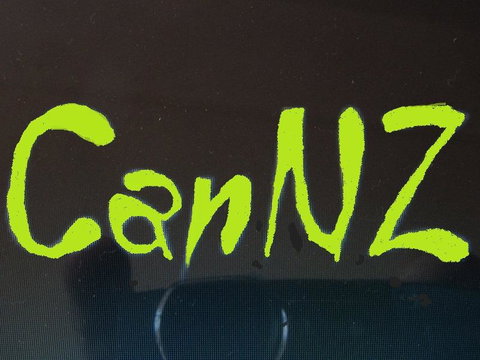CanNZ Tours - Accommodation New Zealand 6