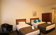 Fitzherbert Regency Motor Lodge - thumb 4