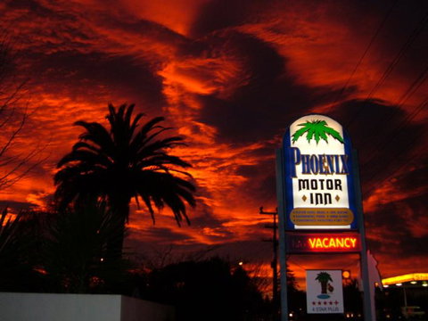 Phoenix Motor Inn - Accommodation New Zealand 9