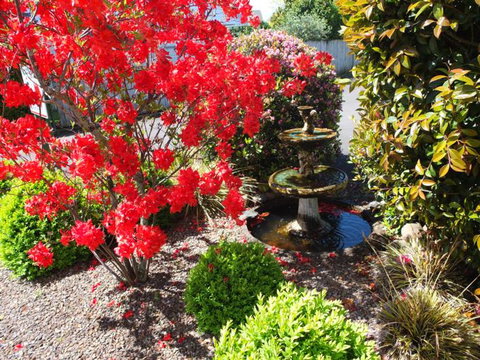 Colonial Court Motel - Accommodation New Zealand 2