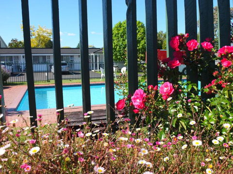 Colonial Court Motel - Accommodation New Zealand 4