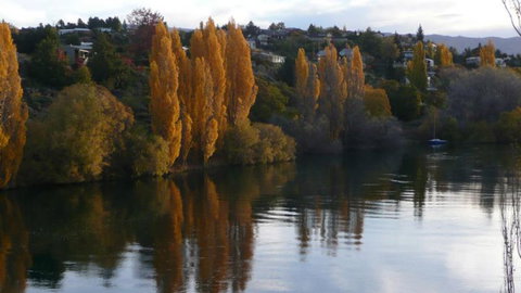 AL Park View Motel - Accommodation New Zealand 3