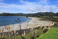 Medlands Beach Backpackers and Villas
