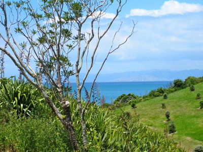 Rotoroa Island Hostel: The Superintendent's House
