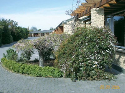 Cedar Lodge Motel