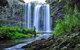 Whangarei Falls Holiday Park & YHA Backpackers - thumb 0