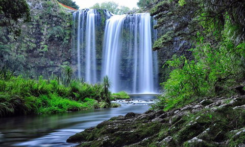 Whangarei Falls Holiday Park & YHA Backpackers - Accommodation New Zealand 0