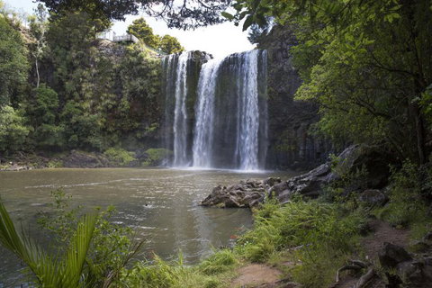Whangarei Falls Holiday Park & YHA Backpackers - Accommodation New Zealand 11
