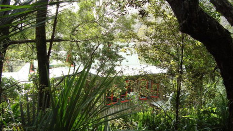 The Tree House Lodge Hokianga Harbour - Accommodation New Zealand 2