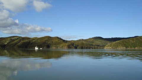 The Tree House Lodge Hokianga Harbour - Accommodation New Zealand 23