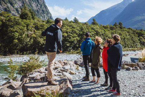 Milford Sound Lodge - Backpacking - Accommodation New Zealand 4