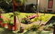 Bazils Hostel & Surf School - thumb 0