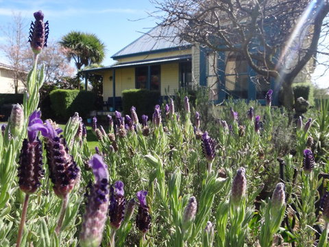 The Old Countryhouse Backpackers - Accommodation New Zealand 0