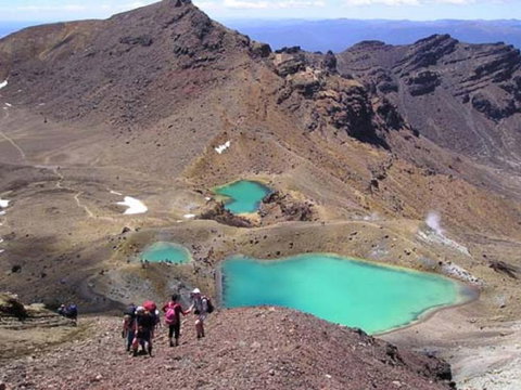 YHA National Park - Accommodation New Zealand 5